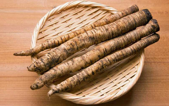 WHY BURDOCK ROOT IS AN ESSENTIAL ALTERNATIVE